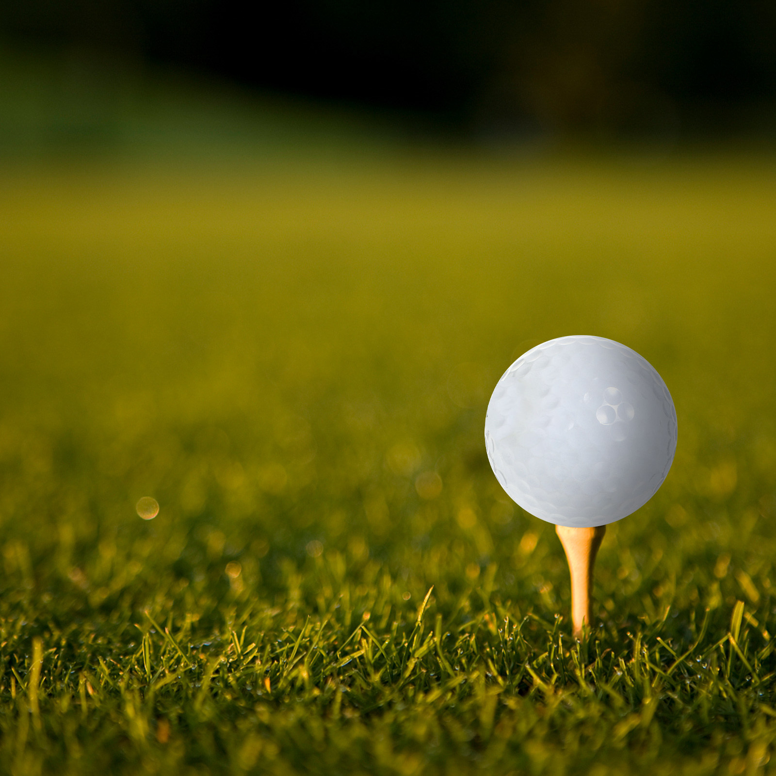 อุปกรณ์ลูกกอล์ฟสำหรับฝึกซ้อมใน - Golf Equipment For Beginners บทวิจารณ์และราคา